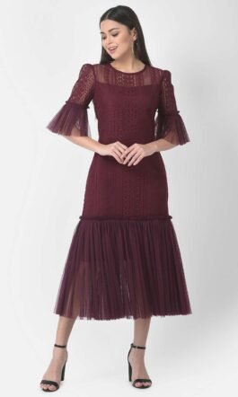 Eavan Women Burgundy Self Design Dress