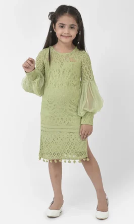 Eavan Girls Green  Embroidered Dress