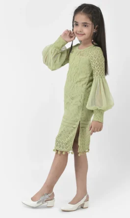 Eavan Girls Green  Embroidered Dress